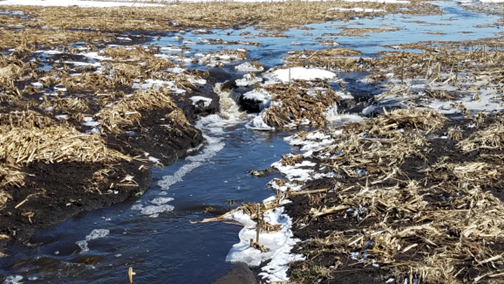 Figure 11.4 Snowmelt from a tilled soybean field, spring 2019, near Valley City. (NDSU photo)